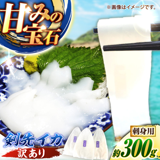 [訳あり]剣先イカ 300g [JCC028] いか 刺身