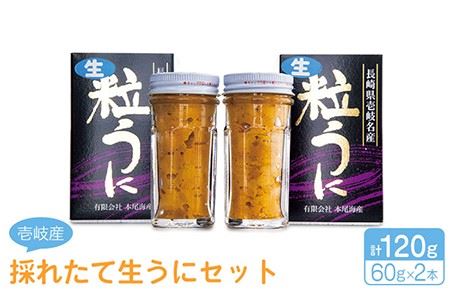 採れたて生うに 60g×2本 《壱岐市》【本尾海産】[JAR003] 20000 20000円 2万円 コダワリうに・ウニ こだわりうに・ウニ おすすめうに・ウニ おススメうに・ウニ 人気うに・ウニ 定番うに・ウニ 通販うに・ウニ お取り寄せうに・ウニ 自宅用うに・ウニ 贈答うに・ウニ