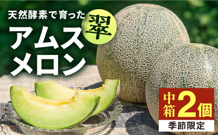 [先行予約]アムスメロン「翠」 2玉(中箱)[2025年6月中旬以降順次発送][壱岐市][JAZ004] メロン メロン メロン メロン メロン