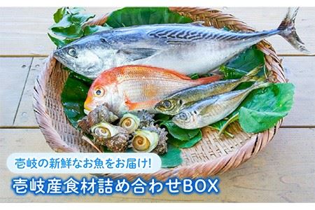 壱岐産食材詰め合わせBOX「魚」 [JBF011] 22000 22000円 2万円 コダワリ魚 こだわり魚 おすすめ魚 おススメ魚 人気魚 定番魚 通販魚 お取り寄せ魚 自宅用魚 贈答魚