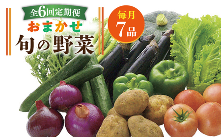 [全6回定期便]旬の野菜セット 7品 [壱岐市][壱岐市農業協同組合][JBO045] 野菜 ベジタブル 食材 詰め合わせ 産地直送 セット グルメ 春 夏 秋 冬 旬 サラダ 冷蔵 夏野菜 スムージー 定期便 54000 54000円 冷蔵配送