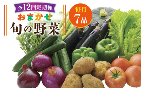 [全12回定期便]旬の野菜セット 7品[壱岐市][壱岐市農業協同組合] [JBO046] 野菜 ベジタブル 食材 詰め合わせ 産地直送 セット グルメ 春 夏 秋 冬 旬 サラダ 冷蔵 夏野菜 スムージー 定期便 108000 108000円 冷蔵配送