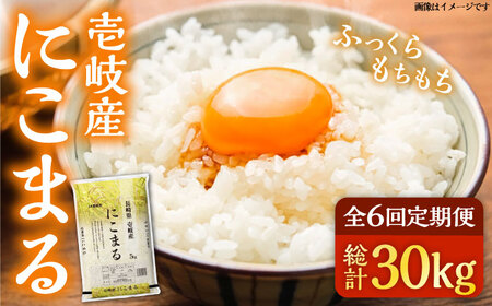 【全6回定期便】壱岐産米 にこまる 5kg 《壱岐市》【壱岐市農業協同組合】 [JBO054]