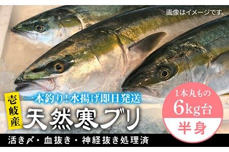 [1/16〜3月末お届け]壱岐島産天然寒ブリ(一本丸ものサイズ6キロ台の半身ブロック) [壱岐市][壱岐島 玄海屋][JBS008] ぶり 寒ぶり ブリ 魚 刺身 しゃぶしゃぶ 48000 48000円 し プレゼント ギフト 冷蔵配送 九州