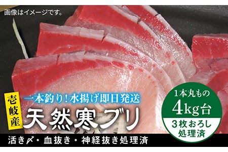壱岐島産 天然寒ブリ(4キロ台・3枚おろし) [壱岐市][壱岐島 玄海屋][JBS010] ぶり 寒ぶり ブリ 魚 刺身 しゃぶしゃぶ ぶりしゃぶ 天然 処理済 4kg 3枚おろし 47000 47000円 冷蔵配送 九州