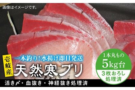 壱岐島産天然寒ブリ(5キロ台・3枚おろし) [壱岐市][壱岐島 玄海屋][JBS011] ぶり 寒ぶり ブリ 魚 刺身 しゃぶしゃぶ 56000 56000円 のし プレゼント ギフト 冷蔵配送 九州