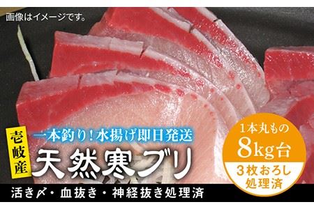 壱岐島産天然寒ブリ(8キロ台・3枚おろし) [壱岐市][壱岐島 玄海屋][JBS013] ぶり 寒ぶり ブリ 魚 刺身 しゃぶしゃぶ 96000 96000円 のし プレゼント ギフト 冷蔵配送 九州