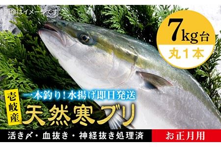 [11/1〜1/15お届け 年末年始用]天然 寒ブリ(7キロ台・丸もの) [壱岐市][壱岐島 玄海屋][JBS016] ぶり 寒ぶり ブリ 魚 刺身 しゃぶしゃぶ 142000 142000円 14万 のし プレゼント ギフト 冷蔵配送 九州