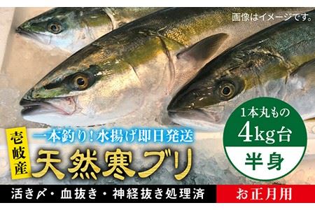 [11/1?1/15お届け 年末年始用]天然 寒ブリ(一本丸ものサイズ4キロ台の半身ブロック) [壱岐市][壱岐島 玄海屋][JBS018] ぶり 寒ぶり ブリ 魚 刺身 しゃぶしゃぶ 61000 61000円 し プレゼント ギフト 冷蔵配送 九州