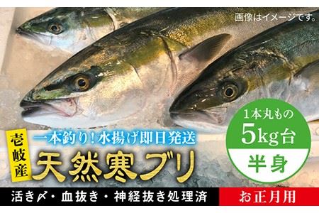 [11/1?1/15お届け 年末年始用]天然 寒ブリ(一本丸ものサイズ5キロ台の半身ブロック) [壱岐市][壱岐島 玄海屋][JBS019] ぶり 寒ぶり ブリ 魚 刺身 しゃぶしゃぶ 68000 68000円 し プレゼント ギフト 冷蔵配送 九州