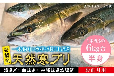 [11/1?1/15お届け 年末年始用]天然 寒ブリ(一本丸ものサイズ6キロ台の半身ブロック) [壱岐市][壱岐島 玄海屋][JBS020] ぶり 寒ぶり ブリ 魚 刺身 しゃぶしゃぶ 75000 75000円 し プレゼント ギフト 冷蔵配送 九州