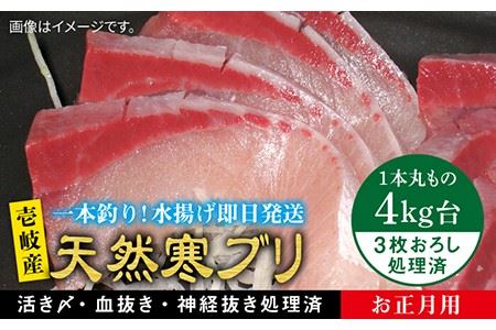 [11/1?1/15お届け 年末年始用]天然 寒ブリ(4キロ台・3枚おろし) [壱岐市][壱岐島 玄海屋][JBS022] ぶり 寒ぶり ブリ 魚 刺身 しゃぶしゃぶ 83000 83000円 8万 のし プレゼント ギフト 冷蔵配送 九州