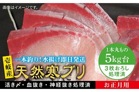[11/1?1/15お届け 年末年始用]天然 寒ブリ(5キロ台・3枚おろし) [壱岐市][壱岐島 玄海屋][JBS023] ぶり 寒ぶり ブリ 魚 刺身 しゃぶしゃぶ 97000 97000円 のし プレゼント ギフト 冷蔵配送 九州