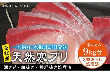 壱岐島産天然寒ブリ(9キロ台・3枚おろし) [壱岐市][壱岐島 玄海屋][JBS030] ぶり 寒ぶり ブリ 魚 刺身 しゃぶしゃぶ 113000 113000円 のし プレゼント ギフト 冷蔵配送 九州