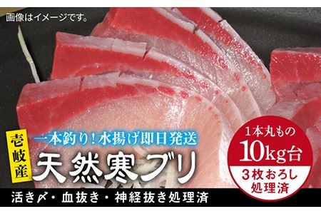 壱岐島産天然寒ブリ(10キロ台・3枚おろし) [壱岐市][壱岐島 玄海屋][JBS031] ぶり 寒ぶり ブリ 魚 刺身 しゃぶしゃぶ 129000 129000円 のし プレゼント ギフト 冷蔵配送 九州