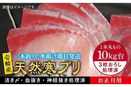 [11/1〜1/15お届け 年末年始用]天然 寒ブリ(10キロ台・3枚おろし) [壱岐市][壱岐島 玄海屋][JBS037] ぶり 寒ぶり ブリ 魚 刺身 しゃぶしゃぶ 310000 310000円 31万円 のし プレゼント ギフト 冷蔵配送 九州