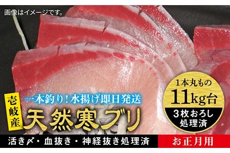 y11/1?1/15͂ NNnpzVR ui11LE3낵j ssty򓇁@Cz[JBS038]   hg Ԃ 390000 390000~