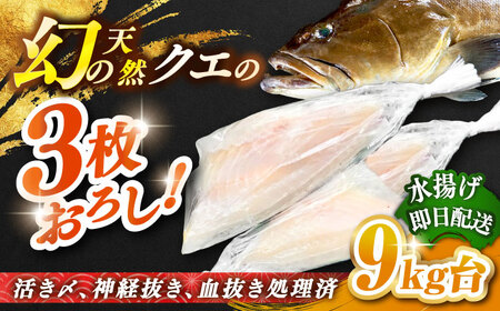 天然クエ(9キロ台・3枚おろし) [壱岐市][壱岐島 玄海屋][JBS062] クエ 魚 刺身 しゃぶしゃぶ 680000 680000円 68万円 のし プレゼント ギフト 冷蔵配送 九州