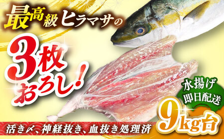 壱岐島産天然ヒラマサ(9キロ台・三枚おろし) [壱岐市][壱岐島 玄海屋][JBS082] ヒラマサ 魚 刺身 煮物 カルパッチョ お寿司 130000 130000円 13万円 のし プレゼント ギフト 冷蔵配送 九州