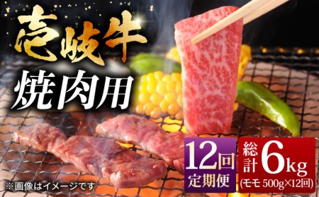 [全12回定期便]壱岐牛 焼き肉 セット 500g [JCG056]焼肉
