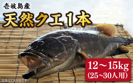 ys\zy9?N1z VR NG 1{ 12?15kg iEhg25?30lpjy2025N9ȍ~z600000 600000~ 60~ [JCJ012]