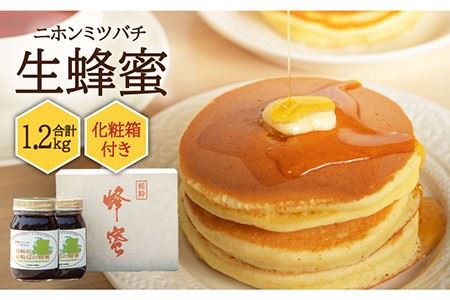 ニホンミツバチ 生蜂蜜 600g×2(化粧箱付き) [壱岐市][憲ちゃんハチミツ][JCL006] ハチミツ 蜂蜜 日本蜜蜂 ジャム 贅沢 高級 ギフト プレゼント 贈り物 化粧箱 60000 60000円 6万円 九州