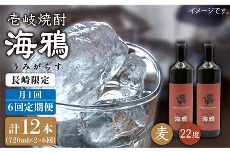 [全6回定期便]海鴉25度720ml 2本入りセット [JDB111] お酒 むぎ焼酎 壱岐焼酎 本格焼酎 熟成 飲み比べ 96000 96000円 九州