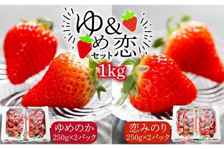 ゆめ恋セット（ゆめのか・恋みのり）計1kg《壱岐市》【蒼花】 [JEO001] 13000 13000円 コダワリいちご・イチゴ・苺 こだわりいちご・イチゴ・苺 おすすめいちご・イチゴ・苺 おススメいちご・イチゴ・苺 人気いちご・イチゴ・苺 定番いちご・イチゴ・苺 通販いちご・イチゴ・苺 お取り寄せいちご・イチゴ・苺 自宅用いちご・イチゴ・苺 贈答いちご・イチゴ・苺