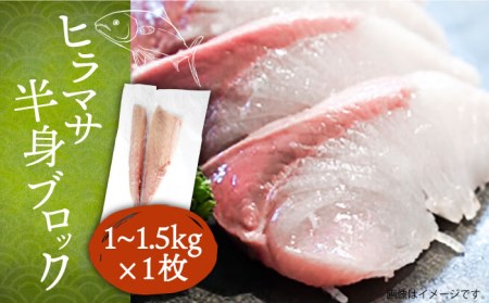 ヒラマサフィレ 約1〜1.5kg(半身)[壱岐市][なかはら][JDT008] 刺身 刺身 刺身 刺身 刺身 刺身
