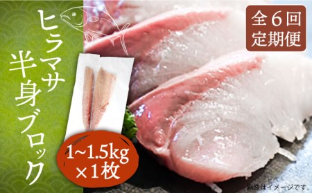 [全6回定期便]ヒラマサフィレ 約1?1.5kg(半身)[壱岐市][なかはら][JDT040] ヒラマサ フィレ 柵 刺身 刺身ブロック 刺し身 切身 冷凍 海鮮 海鮮丼 162000 162000円 冷凍配送 九州