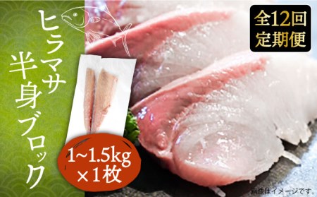 [全12回定期便]ヒラマサフィレ 約1〜1.5kg(半身)[壱岐市][なかはら] [JDT041] 刺身 刺身 刺身 刺身 刺身 刺身