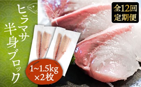 [全12回定期便]ヒラマサフィレ 約2〜3kg(1尾)[壱岐市][なかはら] [JDT044] 刺身 刺身 刺身 刺身 刺身 刺身