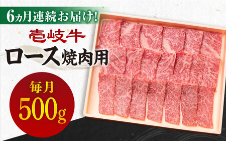 [全6回定期便][A4-A5ランク]壱岐牛 ロース 500g(焼肉用)[JBO075] 焼肉 焼肉 焼肉 焼肉 焼肉 焼肉