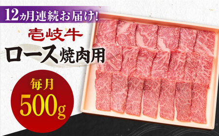 [全12回定期便][A4〜A5ランク]壱岐牛 ロース 500g(焼肉用)[JBO076] 肉 牛肉 ロース 焼肉 赤身 BBQ 360000 360000円 36万円 コダワリロース焼肉 こだわりロース焼肉 おすすめロース焼肉 おススメロース焼肉 人気ロース焼肉 定番ロース焼肉 通販ロース焼肉 お取り寄せロース焼肉 自宅用ロース焼肉 贈答ロース焼肉