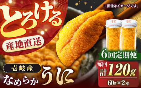[全6回定期便]数量限定!壱岐の生うに 2本セット[JEH006] 紫うに 生 ウニ ウニ 雲丹 ムラサキウニ 紫 瓶 瓶詰め ギフト 贈答 180000 180000円 冷凍配送 のし プレゼント ギフト 希少 産地直送 定期便 九州