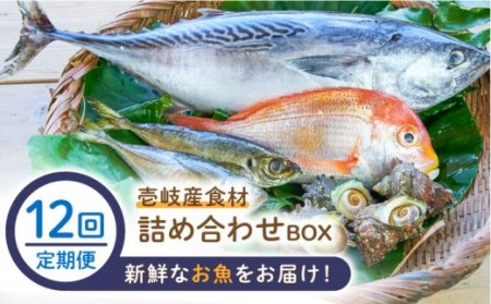 【全12回定期便】壱岐産食材詰め合わせBOX「魚」[JBF023] 詰め合わせ セット 魚 鮮魚 