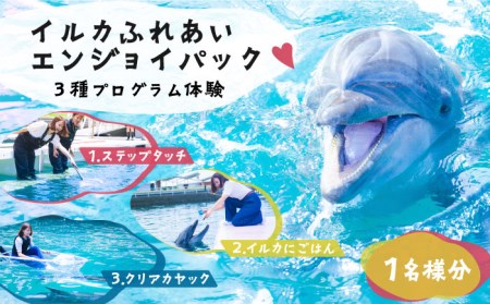 イルカふれあいエンジョイパック 1名様分 [JBF033] 長崎県 長崎 壱岐市 壱岐 体験 アクティビティ 30000 30000円 3万円 九州