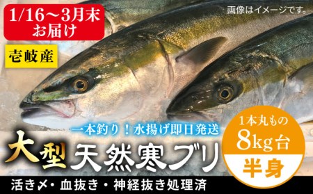 [1/16?3月末お届け]天然 寒ブリ(一本丸ものサイズ8キロ台 半身ブロック)[壱岐市][壱岐島 玄海屋] ぶり 寒ぶり ブリ 魚 刺身 しゃぶしゃぶ [JBS098] 74000 74000円 のし プレゼント ギフト 冷蔵配送 九州