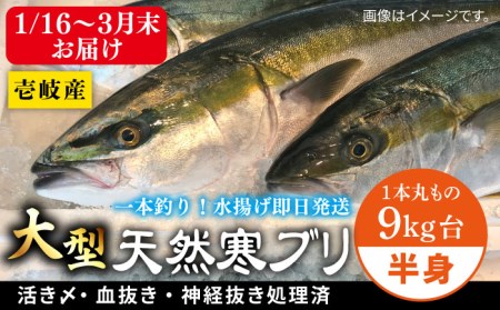 [1/16?3月末お届け]天然 寒ブリ(一本丸ものサイズ9キロ台 半身ブロック)[壱岐市][壱岐島 玄海屋]ぶり 寒ぶり ブリ 魚 刺身 しゃぶしゃぶ [JBS099] 102000 102000円 のし プレゼント ギフト 冷蔵配送 九州