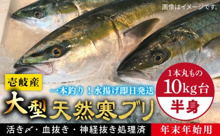 [11/1?1/15お届け 年末年始用]壱岐島産天然寒ブリ(一本丸ものサイズ10キロ台 半身ブロック)[壱岐市]ぶり 寒ぶり ブリ 魚 刺身 しゃぶしゃぶ[壱岐島 玄海屋] [JBS105] 172000 172000円 のし プレゼント ギフト 冷蔵配送 九州