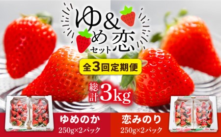 [先行予約受付中][全3回定期便][2月〜4月:毎月発送!]イチゴ1kg 食べ比べ 「ゆめ恋セット(ゆめのか・恋みのり )」(250g×4パック)[壱岐市][蒼花] [JEO003] いちご イチゴ 苺 フルーツ 果物 ゆめのか みのり 冷蔵 あまおう 42000 42000円