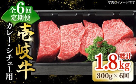 [全6回定期便] 特選 壱岐牛 すね肉 300g(カレー・シチュー用)[壱岐市][太陽商事][JDL080] 冷凍配送 黒毛和牛 A5ランク 肉 牛肉 黒毛和牛 ブランド牛 カレー シチュー 赤身 チマキ 煮込み ブロック 国産 九州 お祝い 54000 54000円 九州