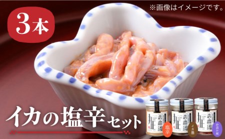 イカの塩辛 3本 《壱岐市》【株式会社マルショウ】 イカ墨 沖漬け 塩辛 いか イカ おつまみ セット 詰め合わせ [JEW001] 16000 16000円 冷凍配送 九州
