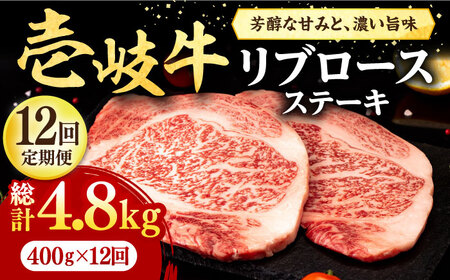 yS12ցz  u[XXe[L 400gsstyЃC`}z   u[X Xe[L BBQ ē [JFE079] 312000 312000~