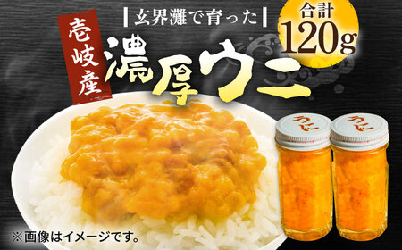 壱岐産 濃厚 ウニ 60g ×2本[壱岐市][合同会社塚元]ムラサキウニ 海産物 海鮮 うに 雲丹 珍味 [JDR022] 30000 30000円 のし プレゼント ギフト 冷凍配送