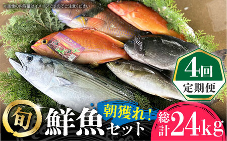 【全4回定期便】五島列島直送！朝獲れ鮮魚セット6kg　鯛福丸水産/五島市 [PDP015] 魚 鮮魚 セット 海鮮 直送 さかな 詰合せ 冷蔵 定期