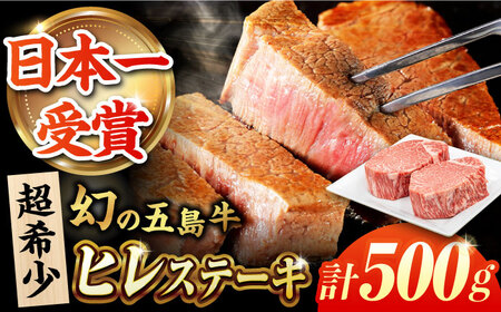 五島牛ヒレ 250g×2枚 牛肉 国産 希少 五島市/ごとう農業協同組合 