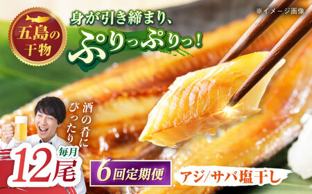 【6回定期便】【L】一夜干し 塩干し（アジ/サバ）計12尾 五島市/愛情食彩[PCH027]