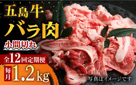 y12ցzܓ oԐ؂ 1.2kg ܓs/ Ƃ_Ƌg[PAF069]