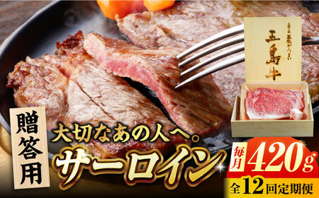 y12ցzܓ T[C 420g p ܓs/Ƃ_Ƌg[PAF102]